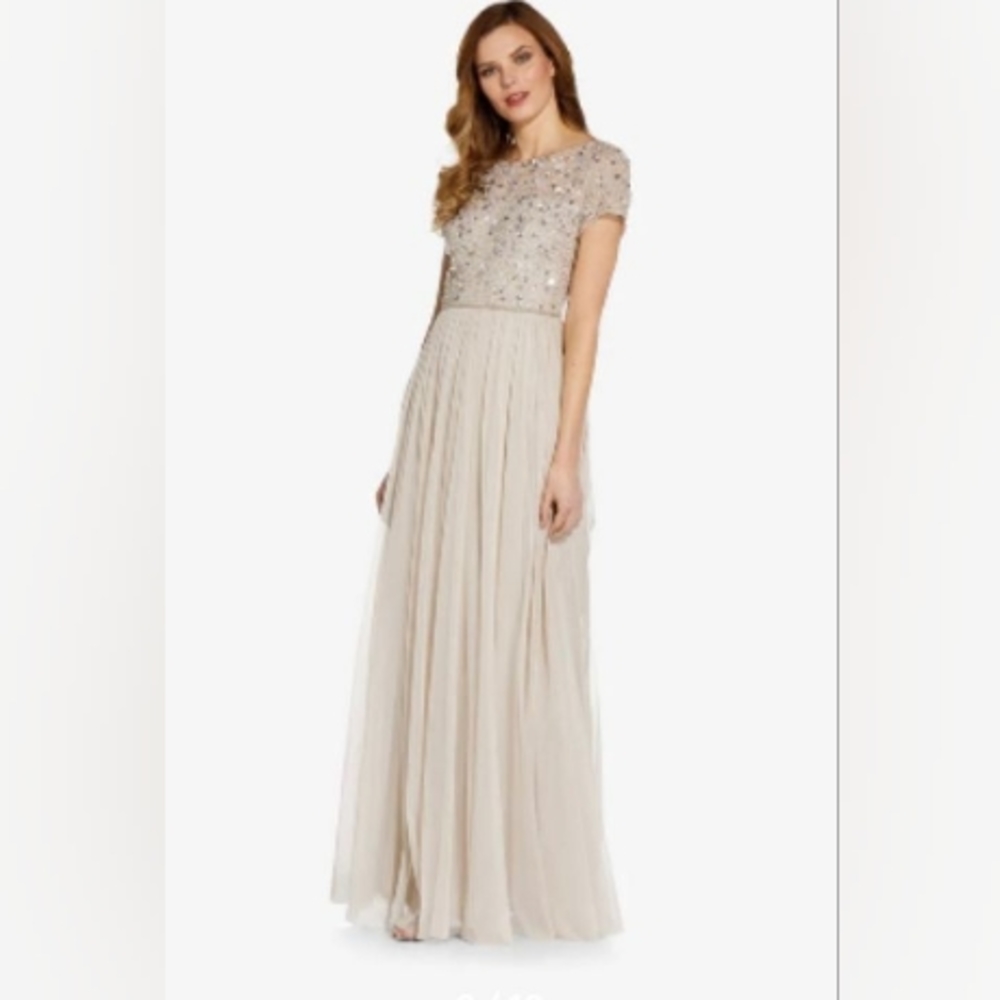 Adrianna Papell Beaded Tull Dress Size 8